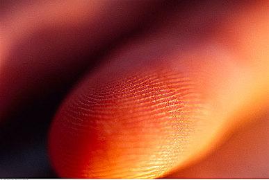 《王者荣耀》新增KPL年度总决赛 总奖金池达1亿元